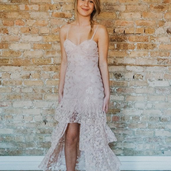 Blush Lace and Ruffle Maxi Dress - Picture 5 of 6